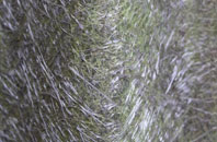 Norseman fibreglass roof work